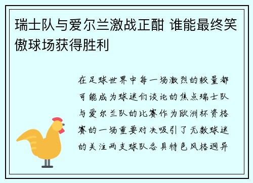 瑞士队与爱尔兰激战正酣 谁能最终笑傲球场获得胜利